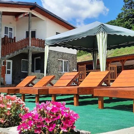 Telteu Florian Hotel Dubova Buitenkant foto