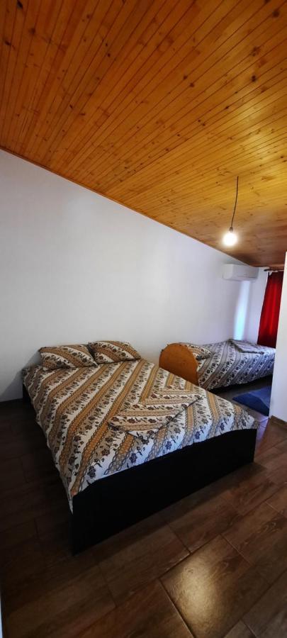 Telteu Florian Hotel Dubova Buitenkant foto