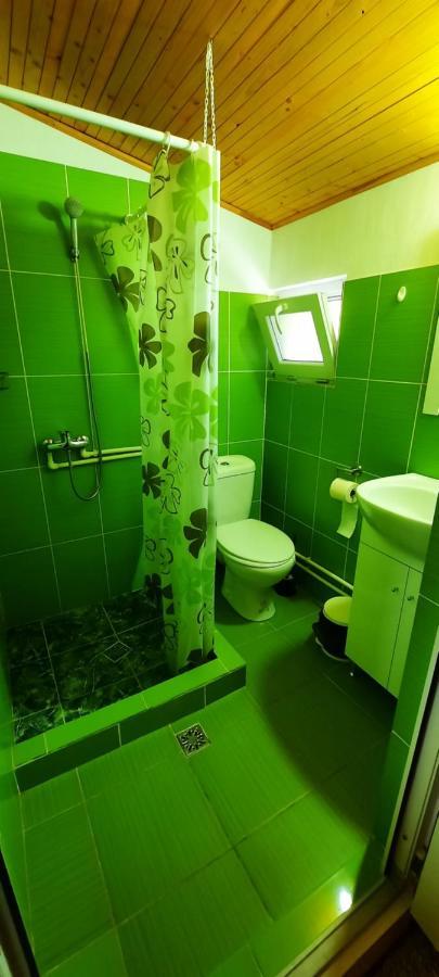 Telteu Florian Hotel Dubova Buitenkant foto