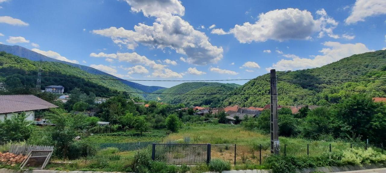 Telteu Florian Hotel Dubova Buitenkant foto
