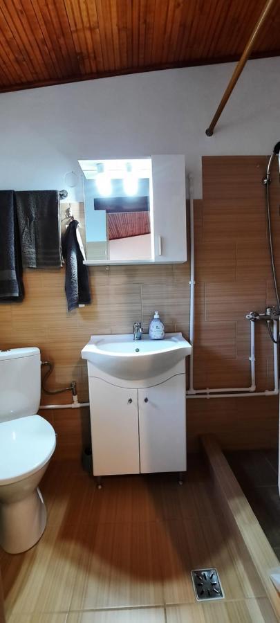 Telteu Florian Hotel Dubova Buitenkant foto