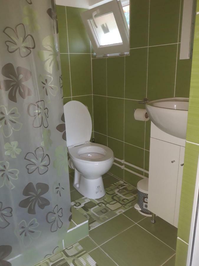 Telteu Florian Hotel Dubova Buitenkant foto